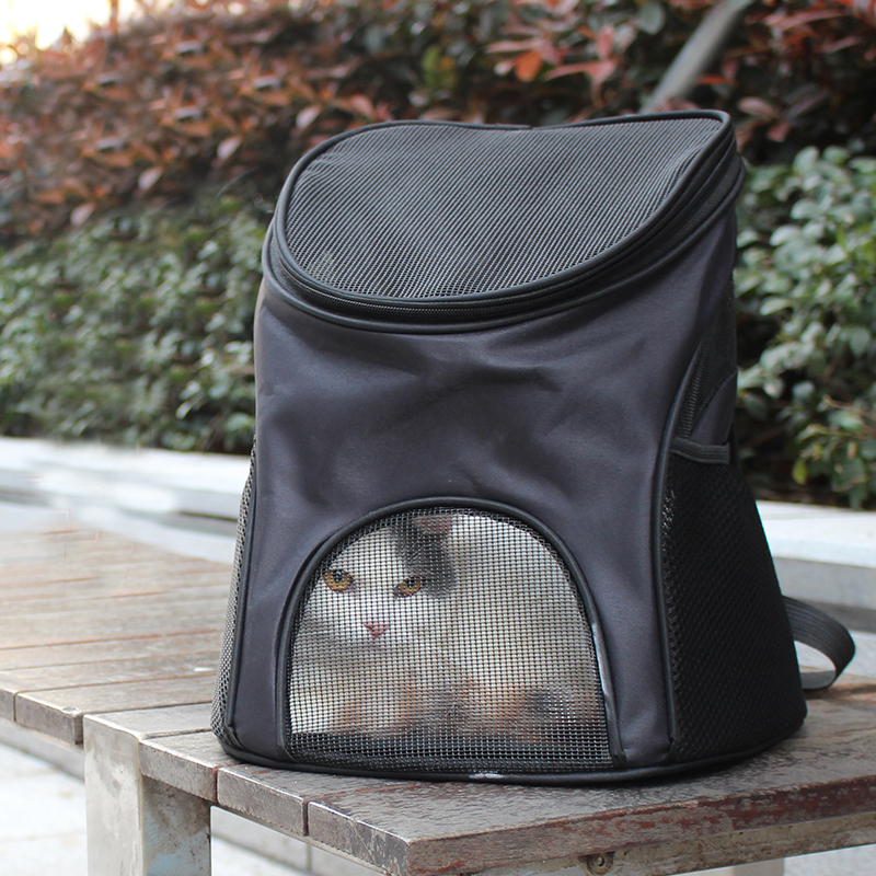 

Outdoor Trave Pet Cat Carrier Backpack for Cats Summer Breathabe Cat Carrying Bag Goods for Pets Products mochia para gato