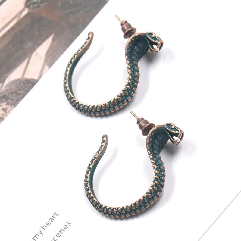 

dangle & chandelier special exaggerated punk style snake-shaped earrings european and american fashion trend accessories jewelry wholesale, Silver