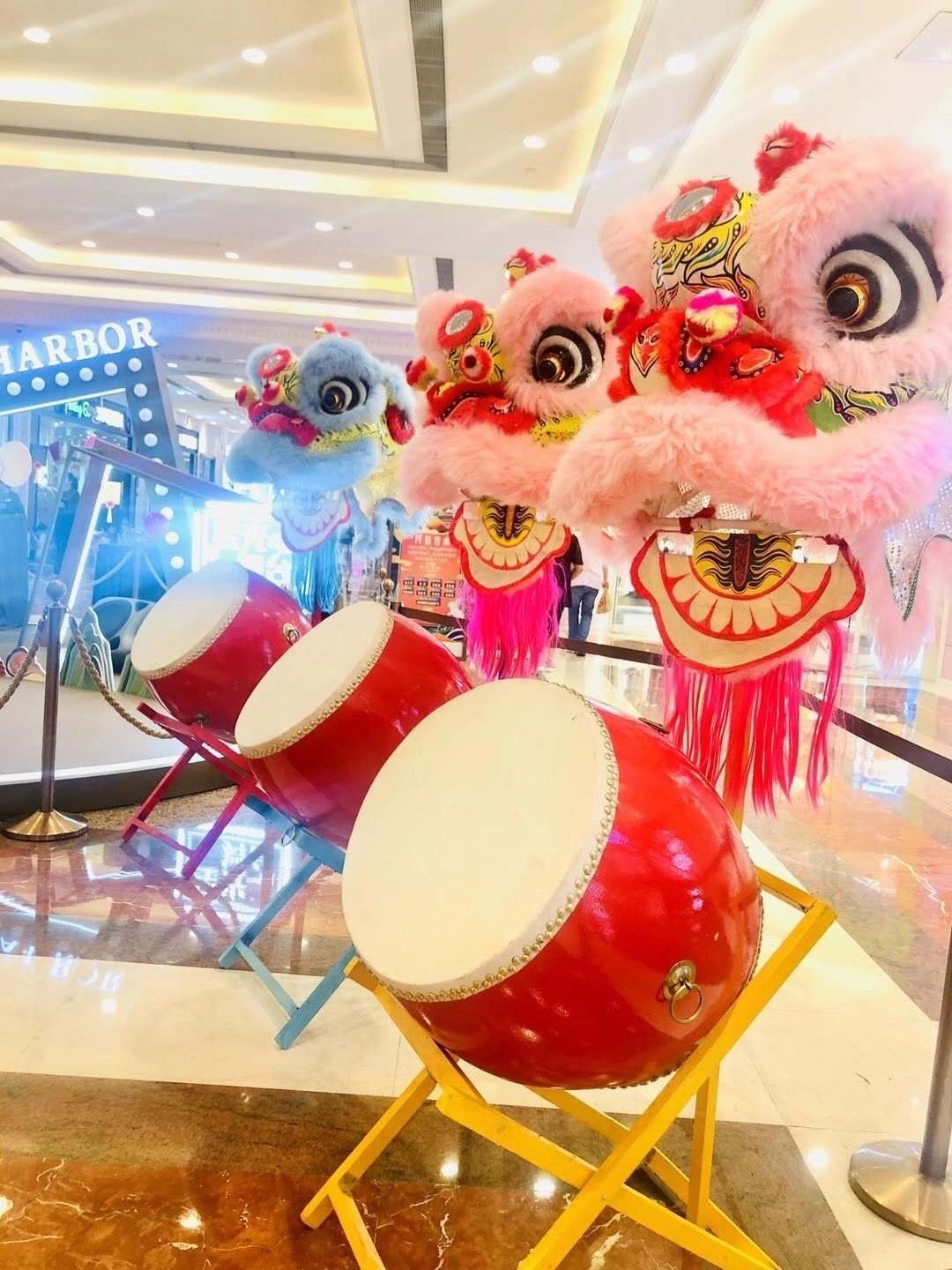 Mascot Costumes Lion Dance Props Full Set of Southern Lion Wake Up Dragon and Costume Double Wool Lion Professional Ruishi Mingchao Hea-image-748262043
