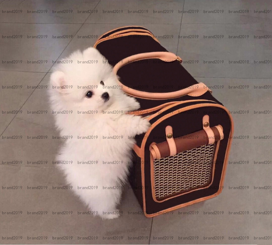

classic design Style prevalent Pet Supplies Soft-Sided Carriers Leather Houses Carrier 5A quality Apply to Cats and Dogs Carrier With ventilation holes large size