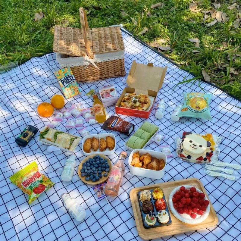 

Online Celebrity -Style Picnic Mat Fashion Pad Outdoor Water Portable Pastoral Style Japanese Clot Pads