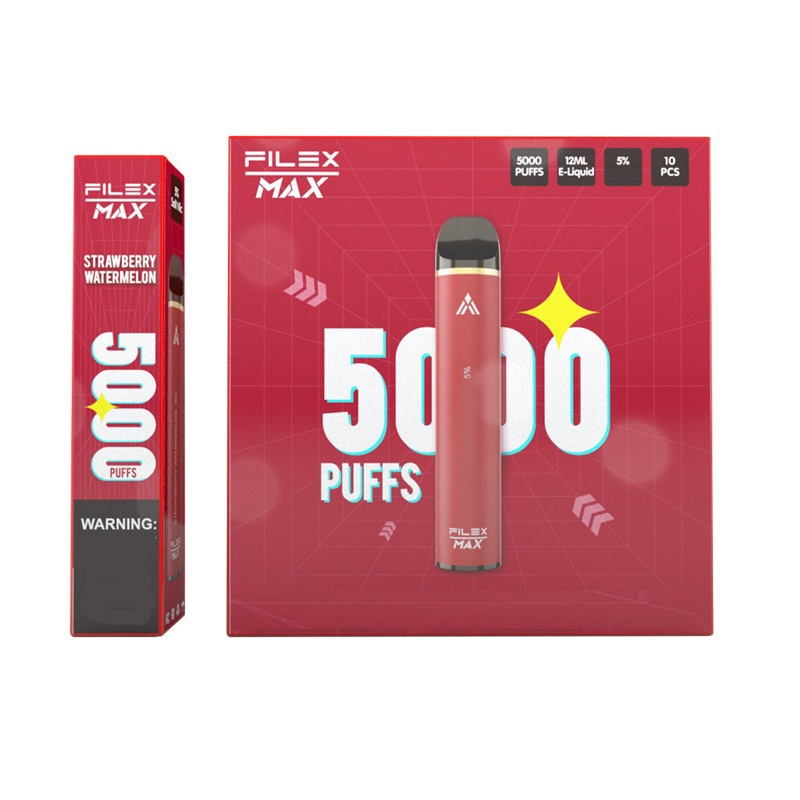 

QST Flex Max Disposable Pod Device cigarettes 5000 Puff 12ml Prefilled Portable Vape Stick Pen 13 colors free freight