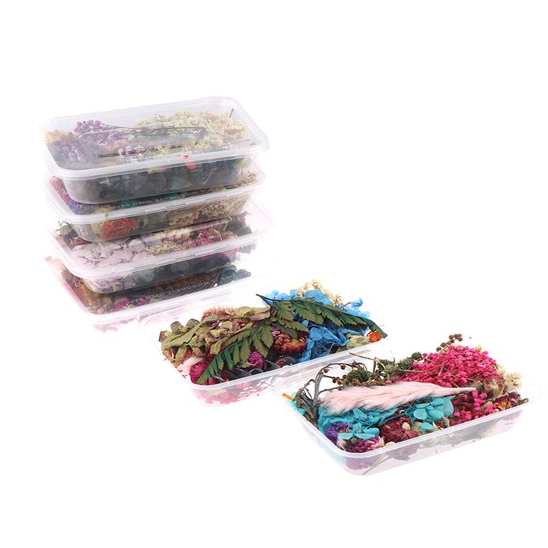 

Decorative Flowers & Wreaths 1 Box Real Mix Dried For Resin Jewellery Dry Plants Pressed Making Craft DIY Accessories