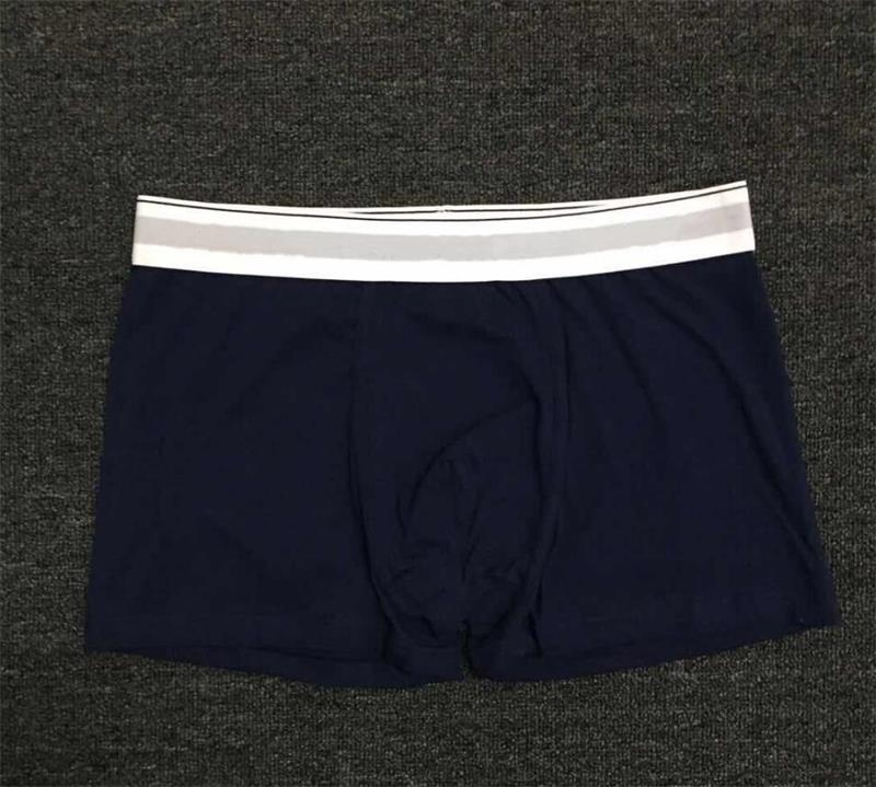 Underpants 5Pcs Fashion Model Men Boxers Cotton Sexy Underwear High Quality Breathable Elastic Short Boxer Under Panties-image-730985285