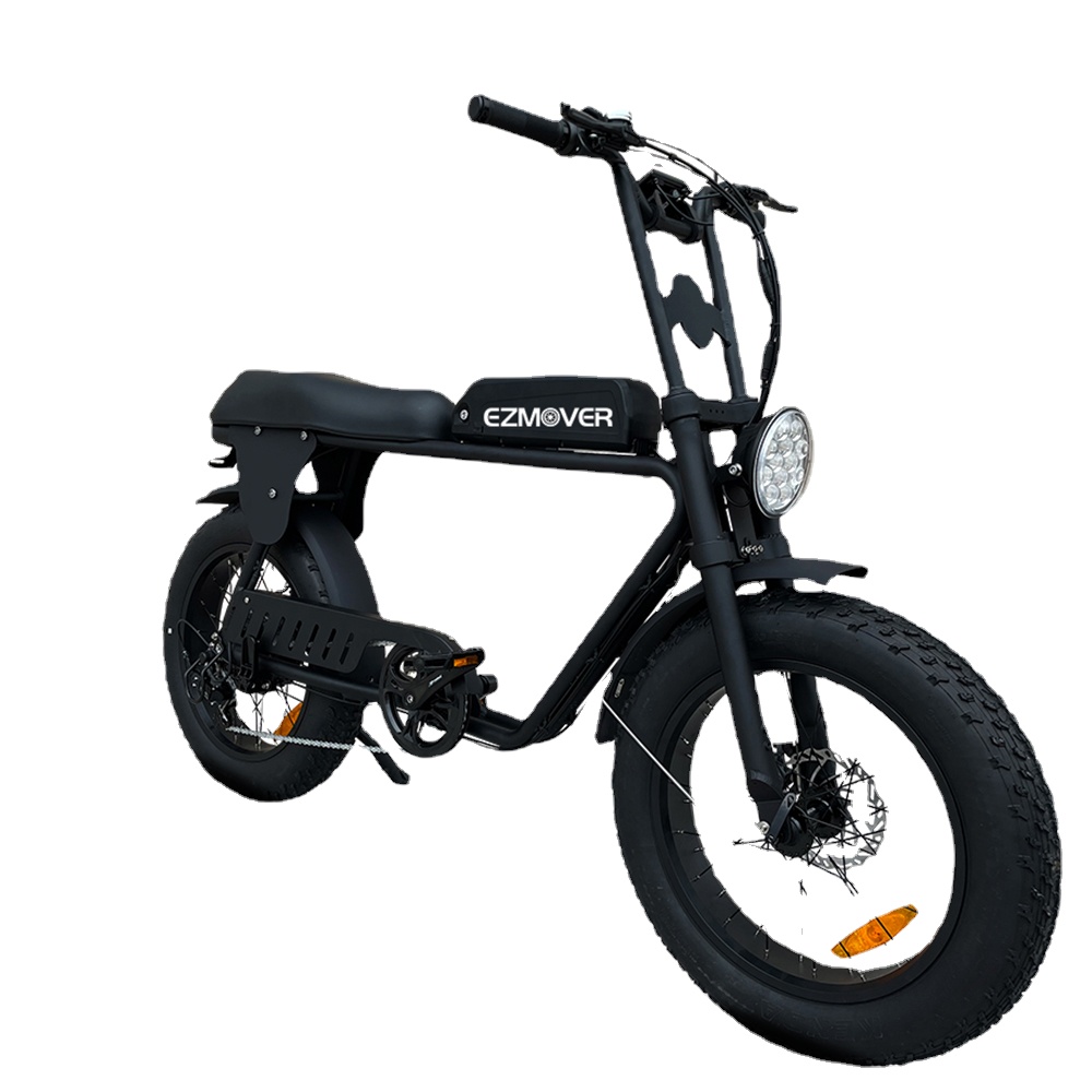 Tesla Electric Bike 14000w