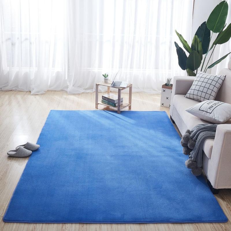 

Carpets Living Room Bedroom Coral Velvet Carpet Floor Mat Kitchen Door Bathroom Absorbent Toilet