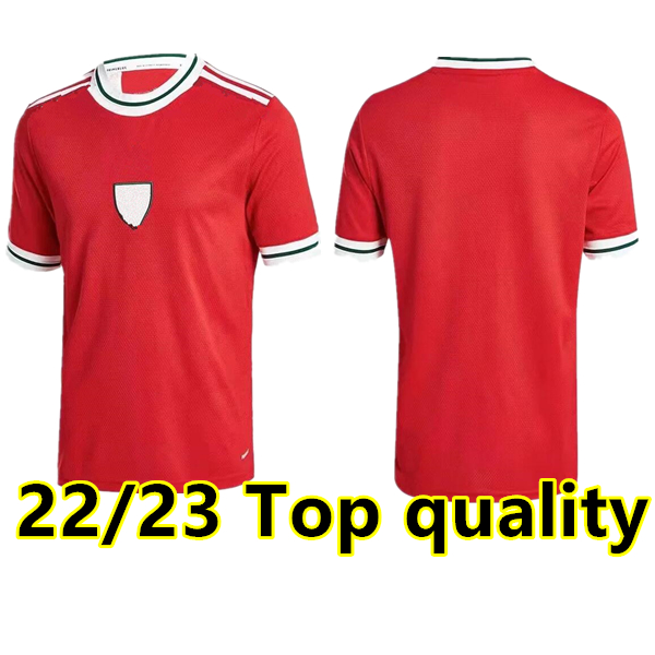 

2022 Wales soccer jerseys BALE JAMES RAMSEY National Team woman 22 23 Cymru HOME away maillot de football shirt Men kids kit uniforms, 22/23 home