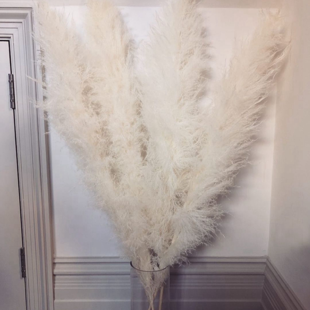 

Natura Pampas Grass arge 140CM Fuffy Big Dried Fowers Decor Artificia Fowers Bouquet for Wedding Home Bedroom Decoration, Cream-5pcs