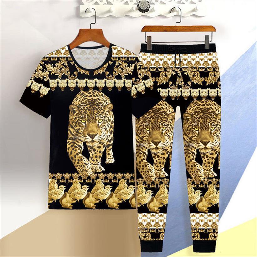 

summer sportswear suit male 3d mens tracksuit dragon short sleeved casual slim t shirt trousers tiger print 2pcs clothes, Gray