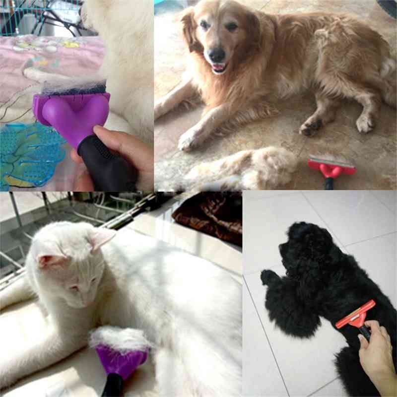 

Dog large cat special removal for Bomei Chai dog hair brush pet comb products