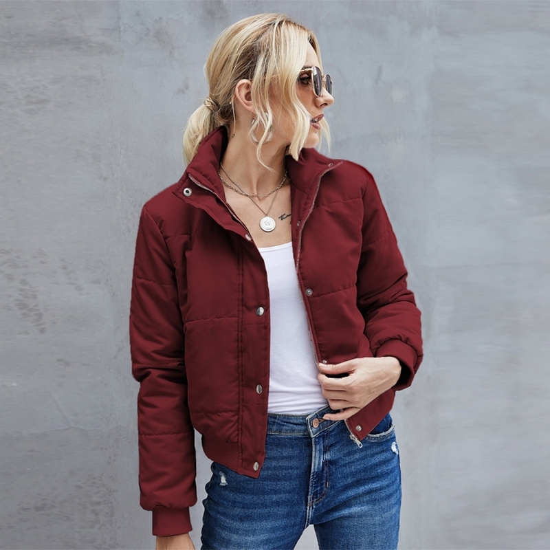 

Banulin Winter Women's Jacket Female Thick Warm Short Parkas Fashion Long Sleeve Coats Elegant Zipper Cotton tops 210603, Pale pinkish grey