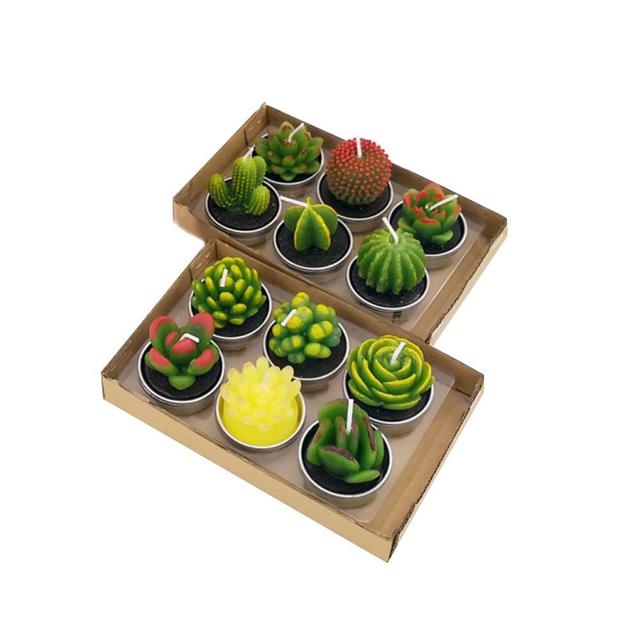 

12pcs Cactus Candle Cute Mini Set Artificial Succulent Plants Candles Home Decoration Candle Tea Light Best Xmas Gift