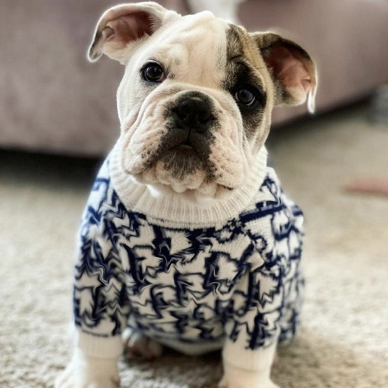 

Winter Dog Clothes Apparel Cat Vest Small Sweater Luxurys Designers Pet Supply Cartoon Clothing D Shirt For Puppy Jumpsuit Outfit D2110114Z, White