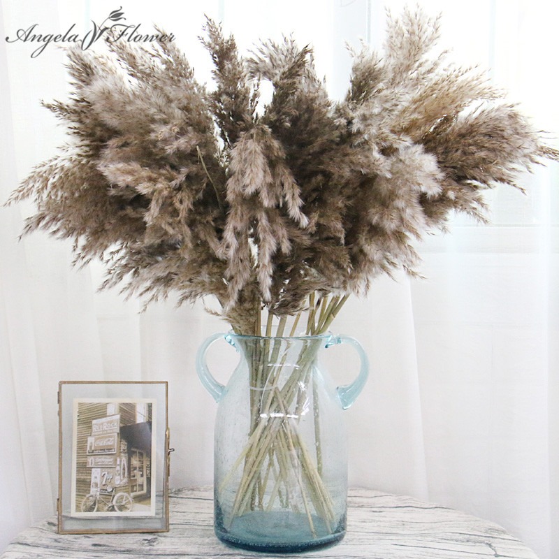 

Real decorative fake flower Wholesale Natural Dried Pampas Grass Reed Plants Home Decor Wedding artificial Flowers Bouquet Bunch Materials Feather Phragmites, As a picture