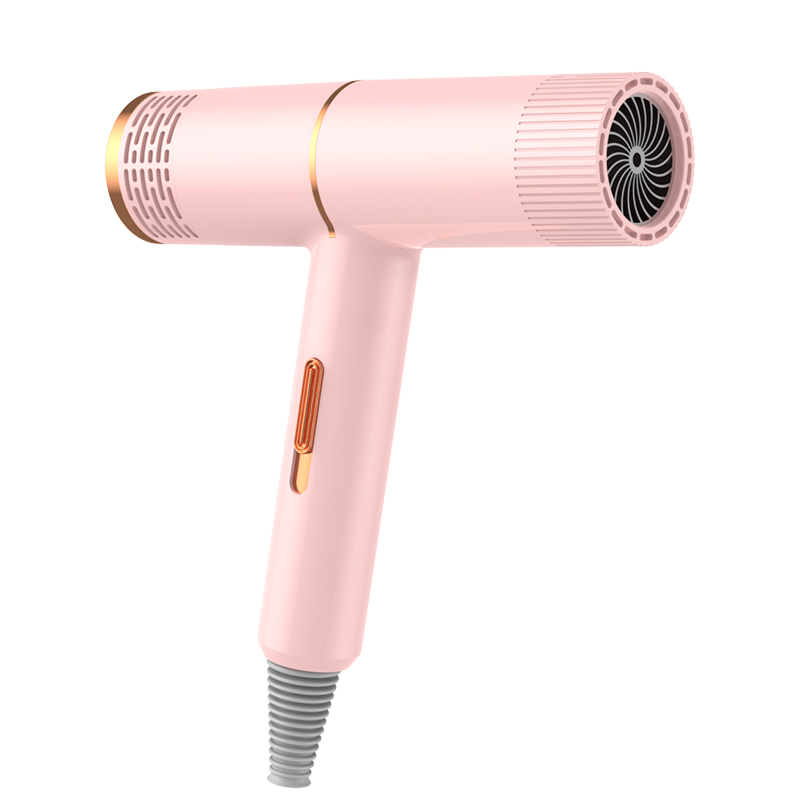

Hair Dryer Negative Ion Blower Dryer 800W Quick Dry Home Portable Hammer Electric Hair dryer Diffuser