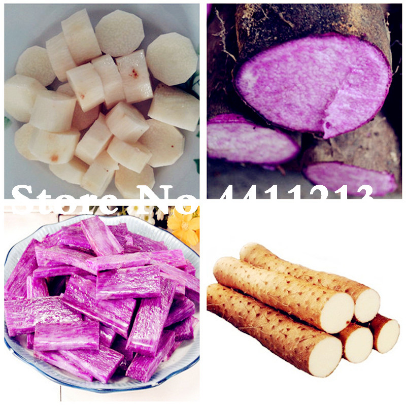 

50 Pcs seeds Purple Yam "Purple ginseng" Long taro Cylindrical roots for food plants High nutrition organic vegetables Easy to Grow The Budding Rate 95% Aerobic Potted