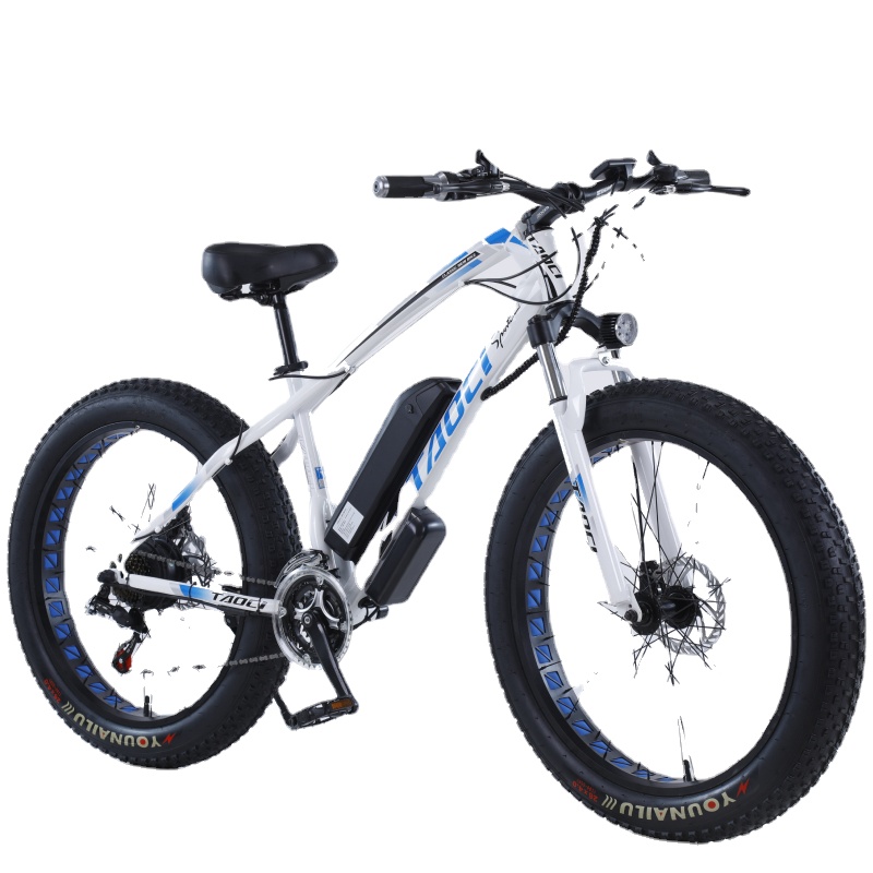 

26 Inch Electric Bicycle Snow Beach Mountain Bike Fat Tire 4.0 Power E Bike Adult