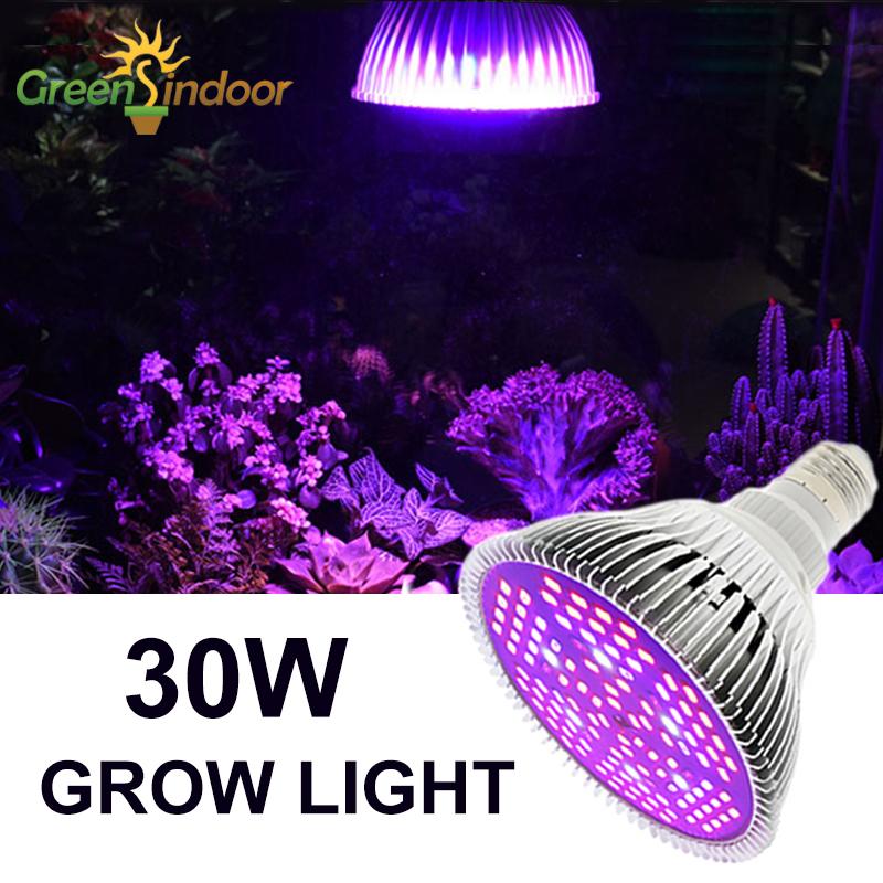 

Grow Lights E27 Led Light Bulb 30W 80W Phytolamp For Plants Indoor Gardening 40 Leds Lamp Full Spectrum Uv Ir Tent