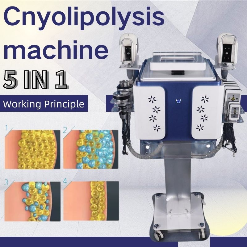 2020 Cryolipolysis machine portable Cavitation + RF +lipolaser Cryo body slimming Machine Cryolipolysis with 2 Freezing Handles CE