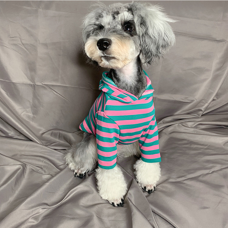 

Pet Teddy Cat Dog Little Fighting Small Puppies Summer Thinner Than Bear Cocky Autumn Winter Clothes, Red