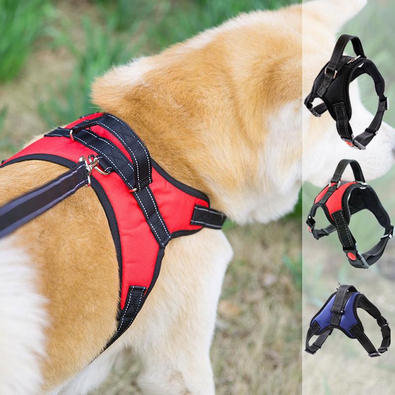 

Dog Collars & Leashes Nylon All Seasons Pet Collar Harness Heavy Puppy Retractable Solid Quick Release Basic Stainless Steel Ring