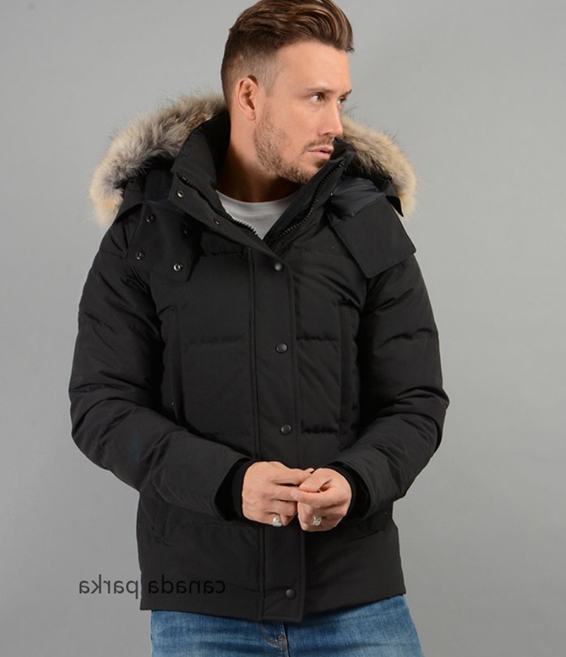 

Sale Online Winter Fourrure Down Manteau Veste Homme Outdoor Jassen Outerwear Big Fur Hooded Goose Jacket Coat Hiver Parka Doudoune Factory, Black with black logo