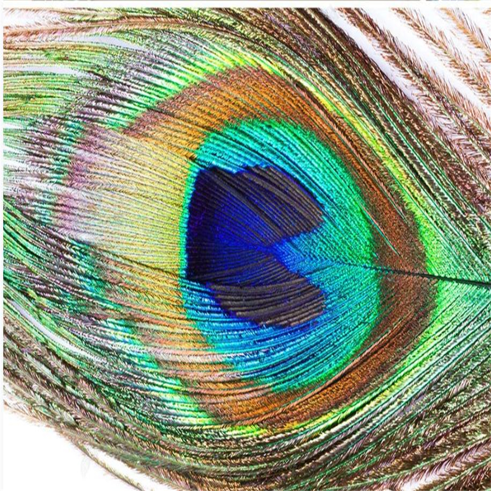 Photo green feather wallpapers modern wallpaper for living room 3d customized wallpaper-image-701631184