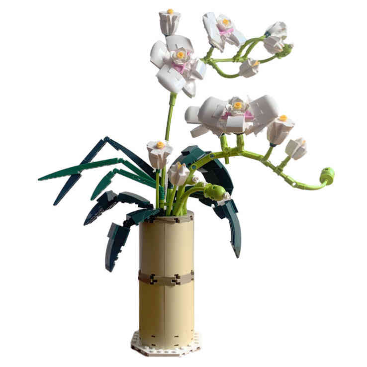 2021 High-Tech Bouquet Kit Brick Ideas Building Blocks White Orchid plastic Flower Toys games kids legos for Birthday Gifts-image-742349445