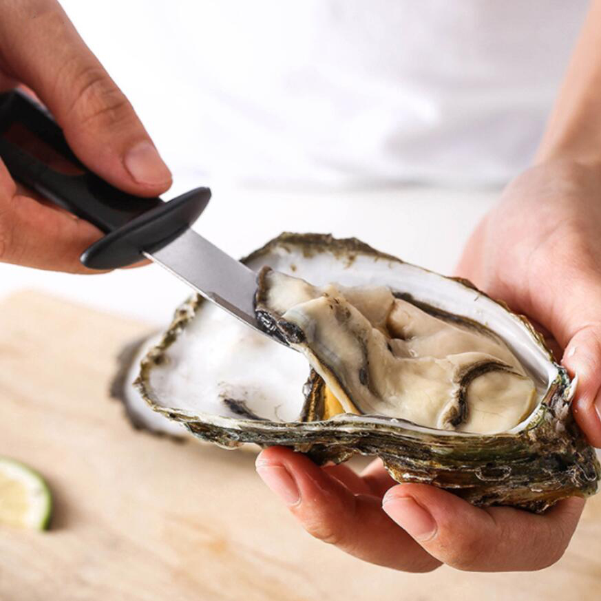 

Multifunction Steel Seafood scallop pry knife with wooden handle Oyster knives Sharp-edged Shucker Shell Seafood Opener DHL
