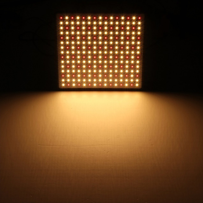 

square plant cob cree lead grow lights 225 beads indoor greenhouse supplementary solar light lamp full spectrum LED gardening hydroponic cul