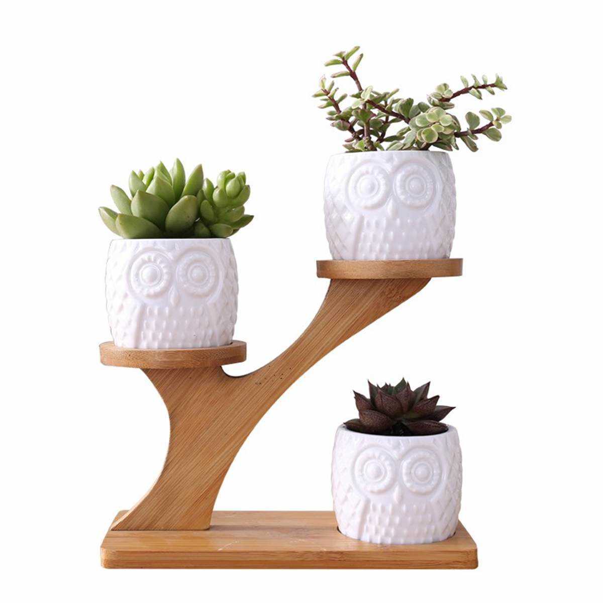 

2 Styles Ceramic Succulent Pots Garden Planter for Plants Bonsai Pot Bamboo Plants Stand Sets Y0910
