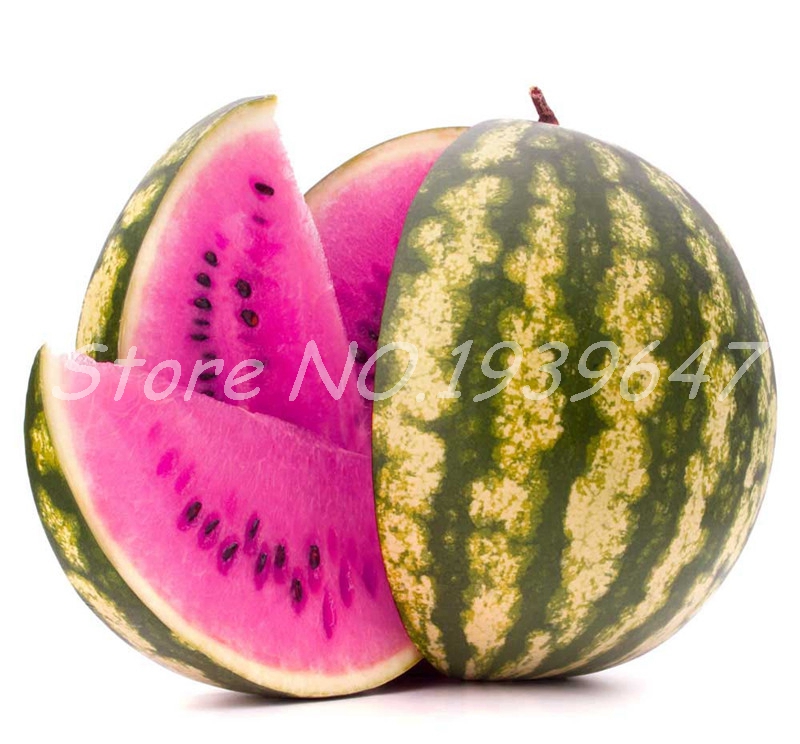 

30 Pcs seeds Watermelon plants Vegetables And Fruit Plants Rare Geometric Square Watermelon bonsai Planting For Jardin Farm Organic Non-GMO Delicious Tasty