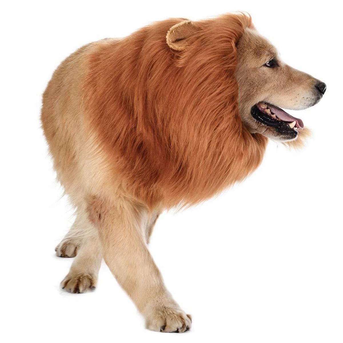 

Pet Dog ion Mane Wig Hair Decor Dog Wig Hair Costume For arge Medium Sma Dog Haoween Gift Cospay Funny Hat Pet Appare