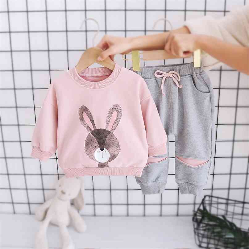 

2Pcs Baby Girls Clothing Sets Autumn Winter Toddler Clothes Kids Tracksuit for Girl Suit Children 1 To 5 Year 210831, Flowers pink set