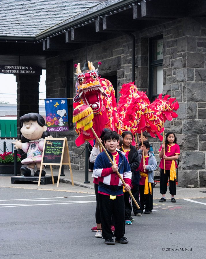 

SILK Dragon Dance Set costume 10.3m length size 6# 10 kids folk Parade Entertaining parad smart stage colorful mascot special culture holiday Halloween performance, Red