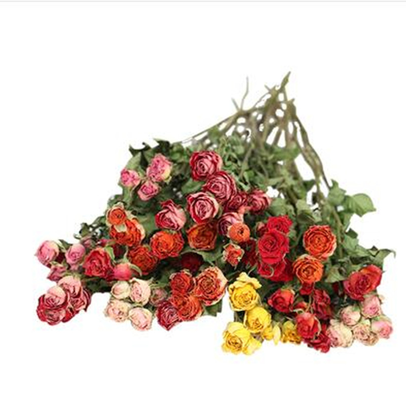 

Cute Greeting card Send a friend more discount