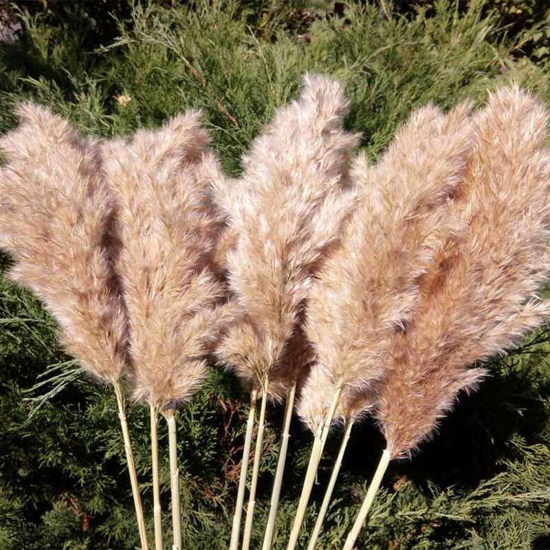 

20 Stems Pampas Grass Bouquet Dried Flower Wedding Use Christmas Decor Artificial Flowers Fall Decoration decorations party, Raw color