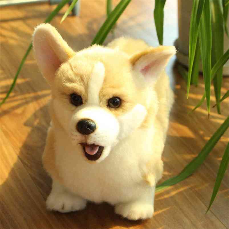 

Baby Plush Toy Short-legged Corgi Dog Simulation Stuffed Animal s Super Realistic Home Decor Pet Child Gift 210728, Gray
