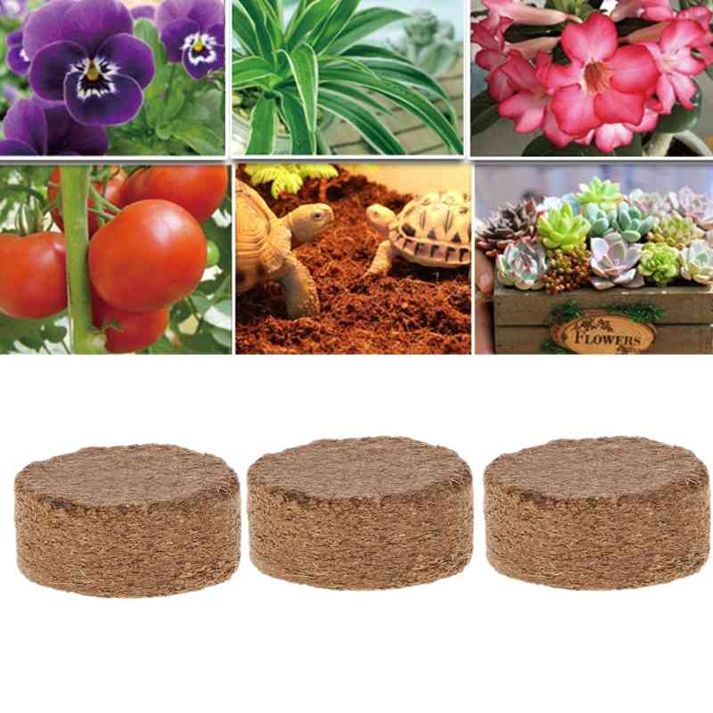 Coconut Fiber Coconut Pellet Nutrient Bodem Light weight Plant Compressed Base Garden-image-693292429