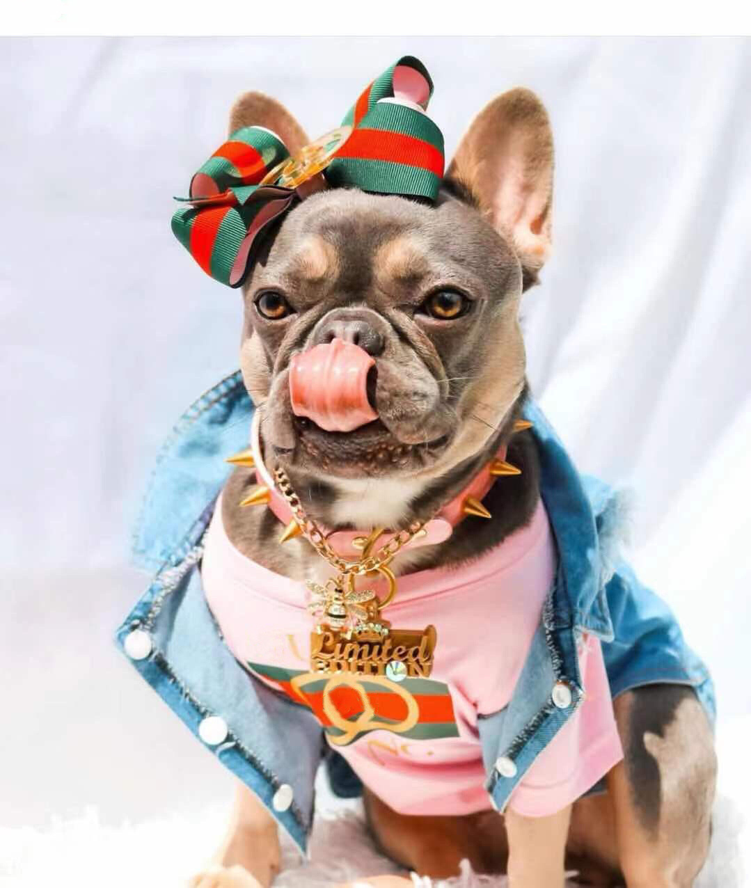 

Designer Pet Dog Apparel Clothes Shiny Lamb Down Jacket Two-legged French bulldog Corgi Warm Fashion Winter Coat yihao, Black