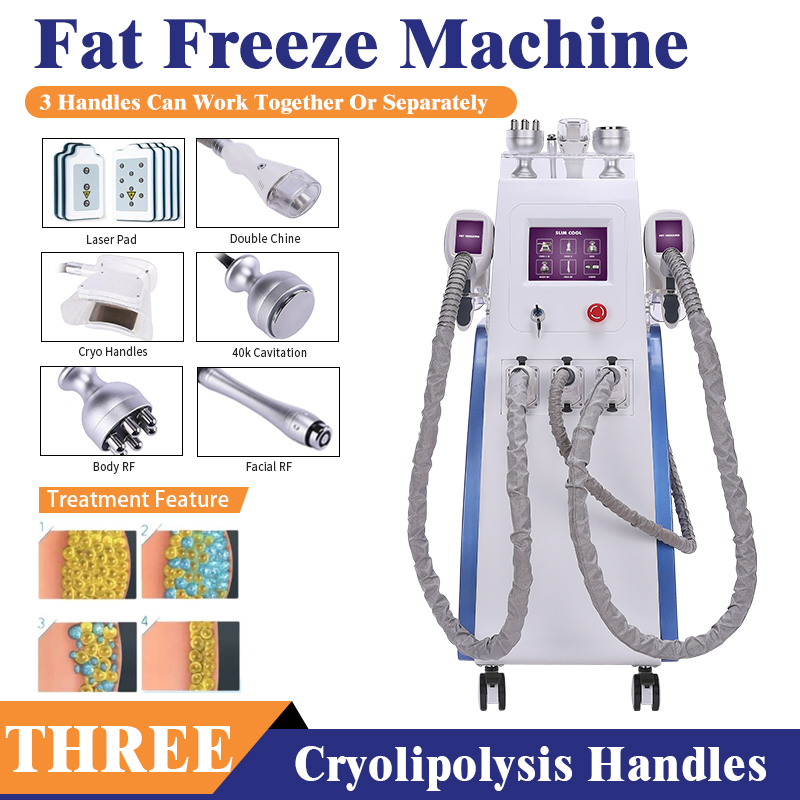 

2023 Popular Laser Vacuum Cryo Therapy Cryolipolysis Machine Body Contouring Fat Freezing fast#008