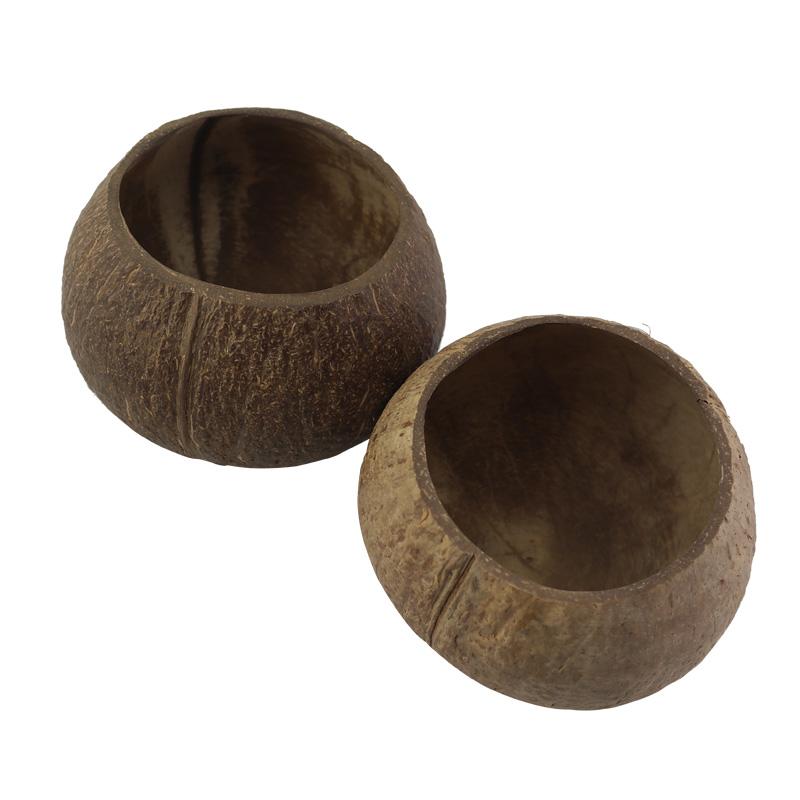 

Reusable Coconut Bowls Made From Real Shells