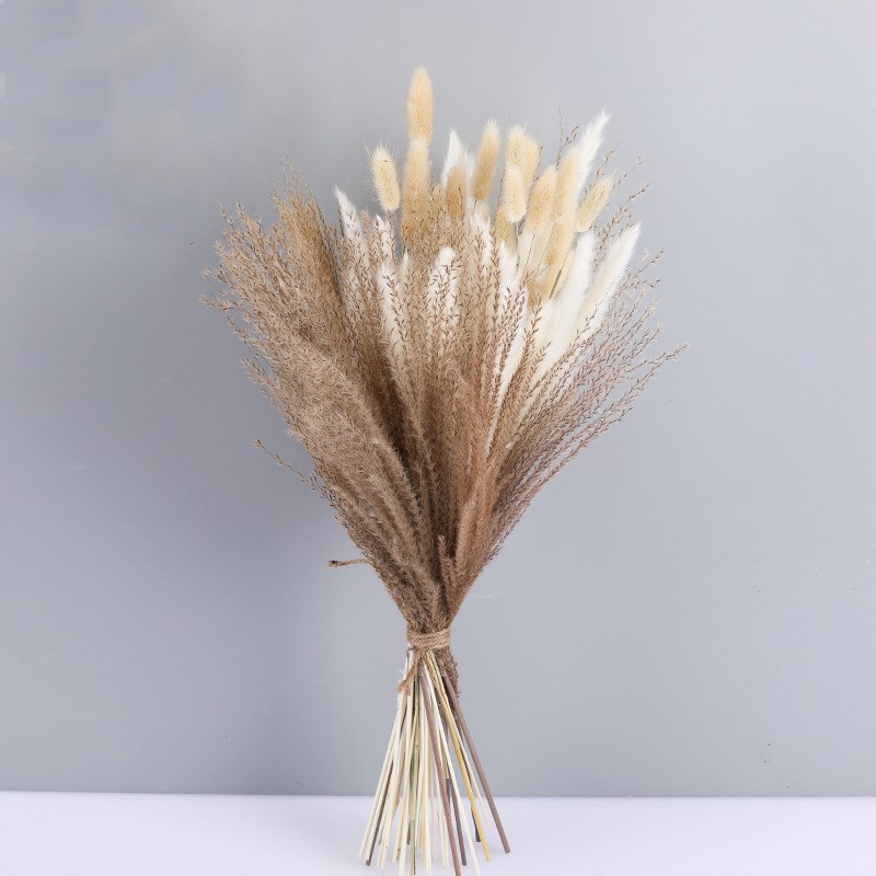

1 Set Dried Flower Natural Pampas Grass Wedding Bouquet Phragmites Reed Plants Christmas Home Decor Living Room Valentine's Day Gift, One bouquet
