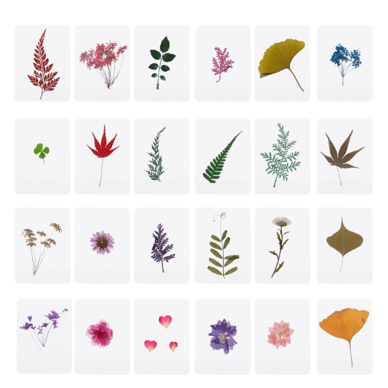 Mix Printed Flower Leaves Plant Species Volumes For Epoxyresis Jewelry Make Fresh Diy Hand Specimens Plant Leaves Hars Ring-image-692850123