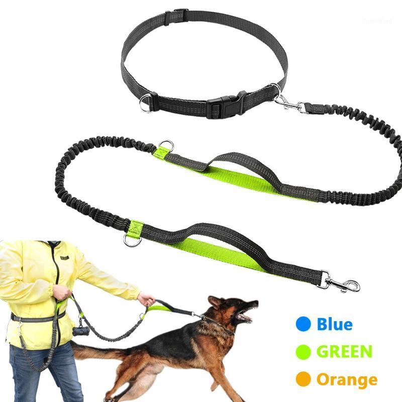 

Dog Collars & Leashes Retractable Hands Free Leash For Running Dual Handle Bungee Reflective Up To 150 Lbs Large Dogs Bag Dispenser