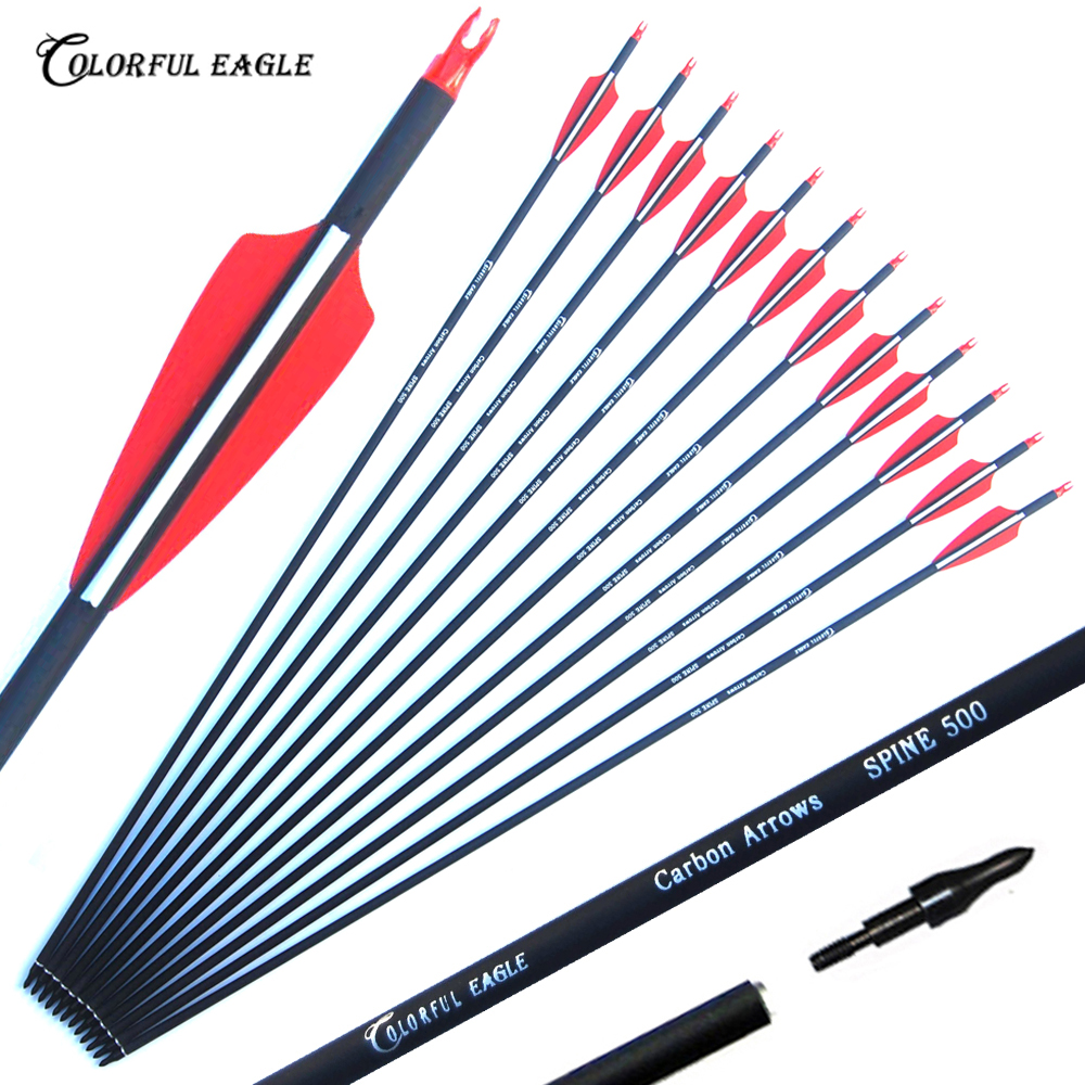 

Archery Carbon Arrows 28/30/31 inch Practice Hunting Targeting with Removable Screw-in Tips for Compound & Recurve Bow