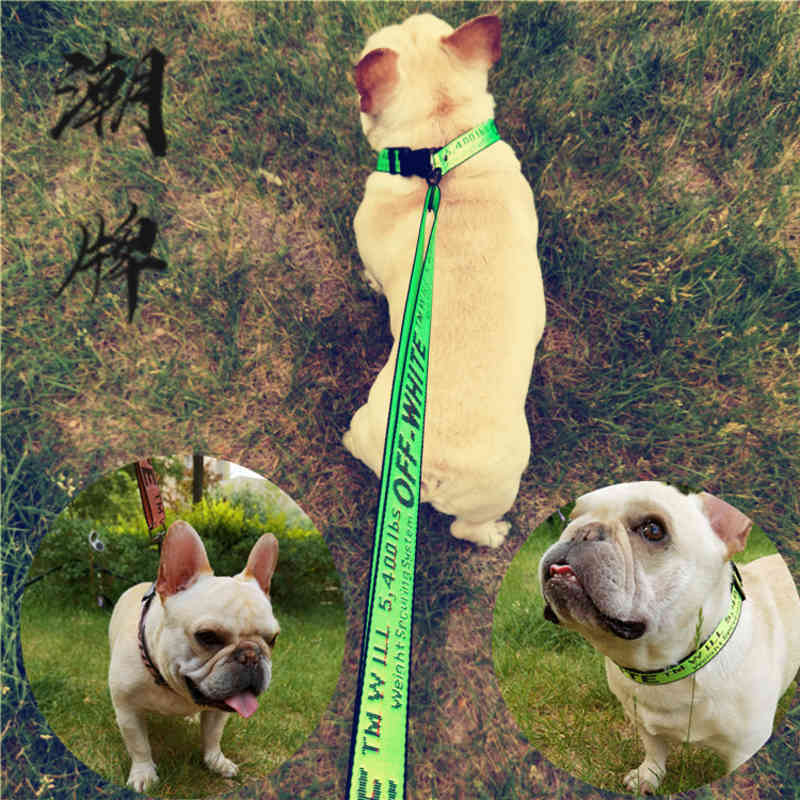 

White Off Brand Retractable Pet Traction Rope Chest Back Dog Supplies