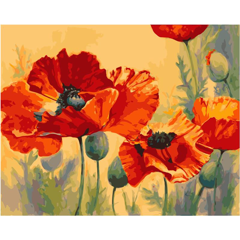 

Paintings Beautiful Blooming Poppies DIY Painting By Numbers Acrylic Colorful Flower Hand Painted Oil Paint For Home Decor Art