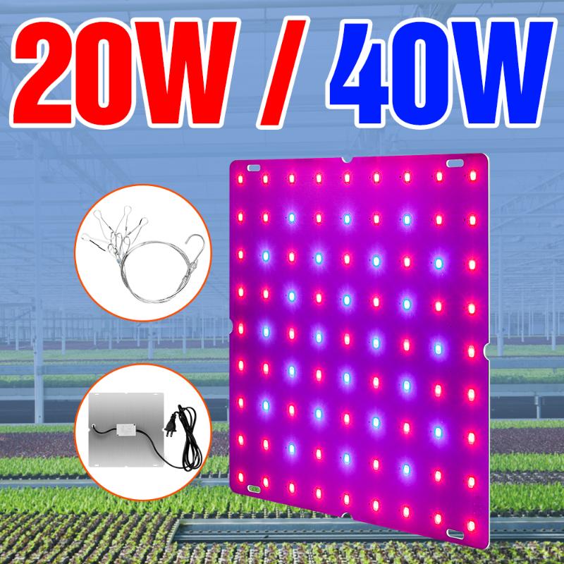 

Plant Growth Lamp 220V Grow Light LED 20W 40W Full Spectrum Indoor Growing Phyto 110V Hydroponic Lighting Fitolampy Lights