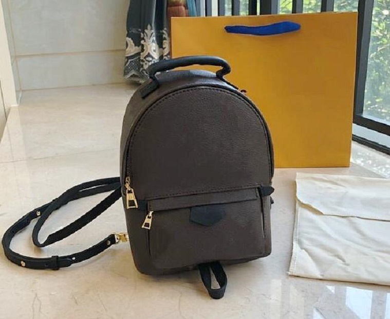 

Luxurys Designers Bags Women bag Palm Springs Backpack Mini leather book backpacks women printing leather MN4578, Brown flower